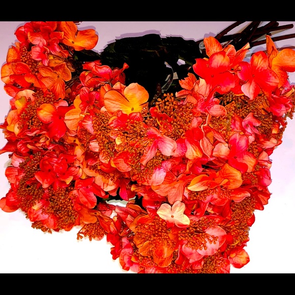 Hydrangeas Pink Orange Long Stem